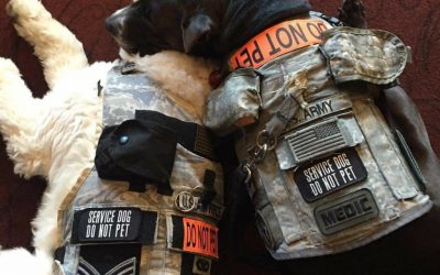 Recent Law Puts Frauds on Notice