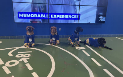 Sabres team dogs from all four seasons have team reunion for Military Appreciation Night. 