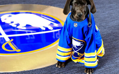 Meet Audi, the new Buffalo Sabres dog 2024-25’ season. 