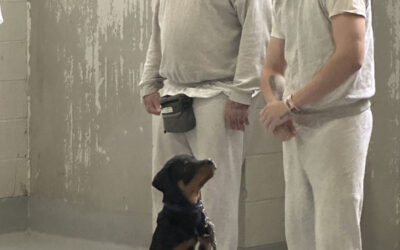 Meet our class of 2024-25’ currently inside the Niagara County Correctional Facility 