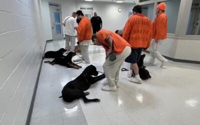 April Training 2025 inside Niagara County Sheriff’s Gallery