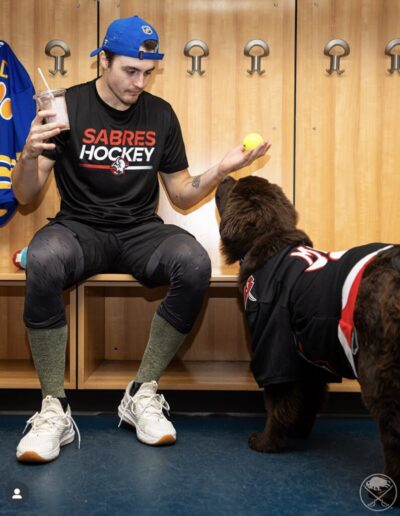 Mac, a fluffy brown Newfoundland puppy wearing a blue Buffalo Sabres jersey, sleeps peacefully on the floor in front of a blue backdrop covered in Sabres logos and yellow paw prints.