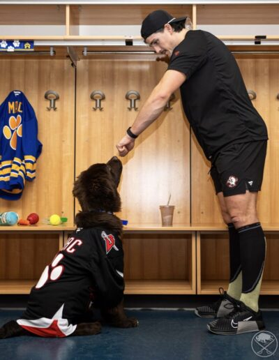 A Sabres player in black workout gear leans down to hand-feed a treat to Mac, a brown Newfoundland puppy wearing a black “MAC 28” Sabres jersey, who is sitting politely in the locker room in front of wooden lockers with a custom “MAC” jersey hanging up.