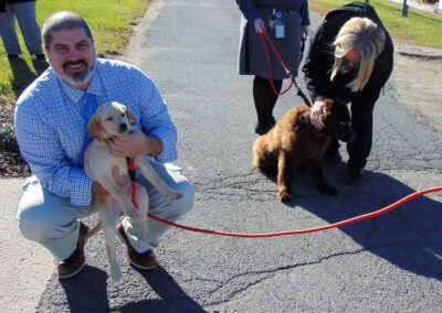 A man in a blue check shirt kneels outdoors holding a yellow Labrador puppy while a woman pets a fluffy brown Newfoundland puppy nearby.