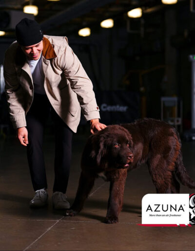 A smiling Sabres player in a beige jacket and black beanie gently pets Mac, a brown Newfoundland puppy wearing a Sabres jersey, as they stand together on the rink floor. Azuna logo in corner.
