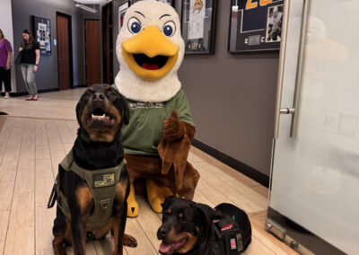 The WNYHeroes eagle mascot kneels and gives a thumbs-up between two calm Rottweilers wearing service-dog vests in a hallway decorated with framed sports jerseys.